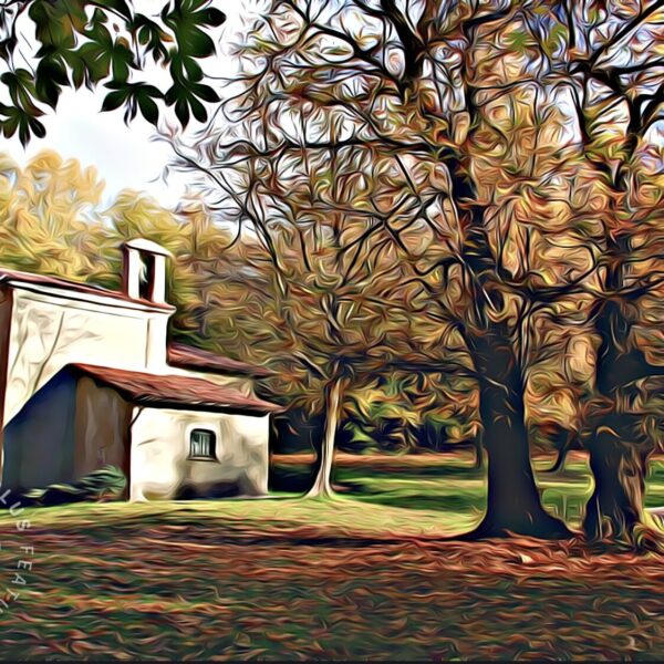 Wine, Chestnuts and Foliage – 25 October