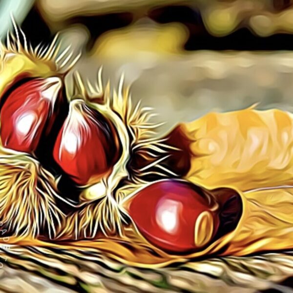 Tantissime Castagne! 10 Ottobre
